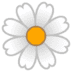 :blossom: :blossom: